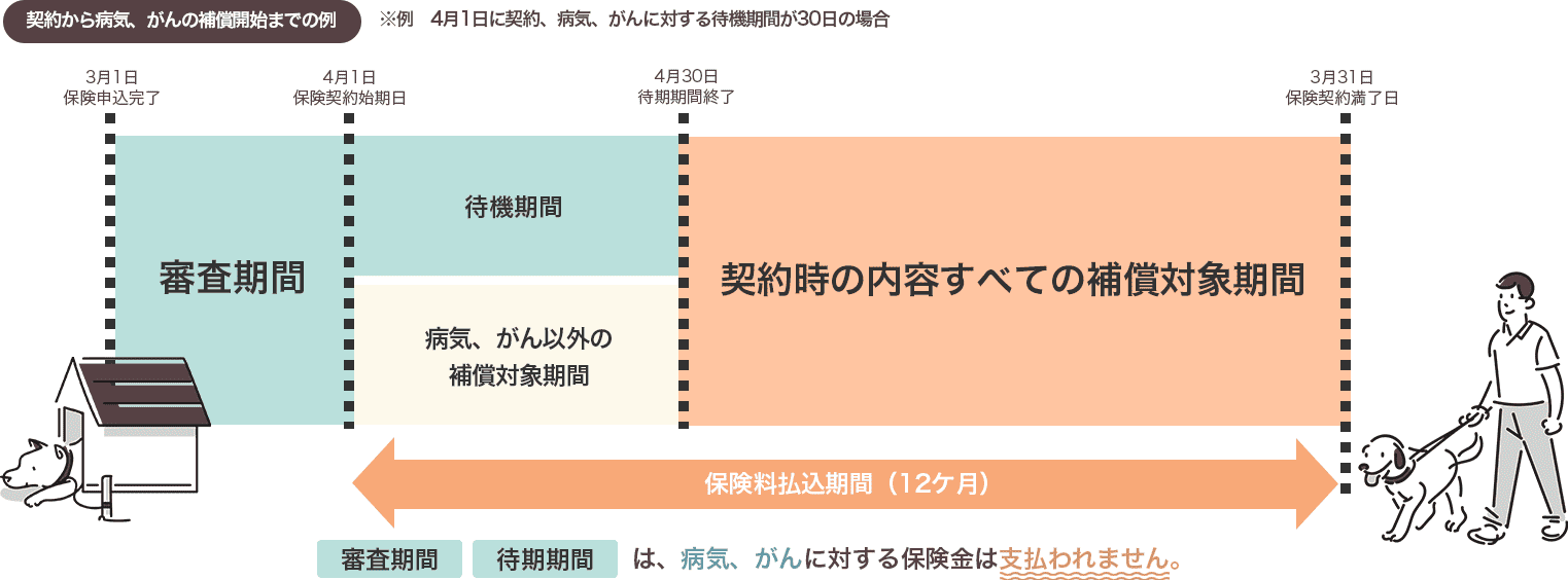 ペット保険の待機期間の説明図。例として、4月1日に契約し、病気・がんに対する待機期間が30日の場合を示しています。3月1日に申込完了、4月1日に契約開始、4月30日に待機期間終了。その後、契約内容すべての補償対象期間が始まります。