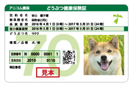 アニコム保険証見本