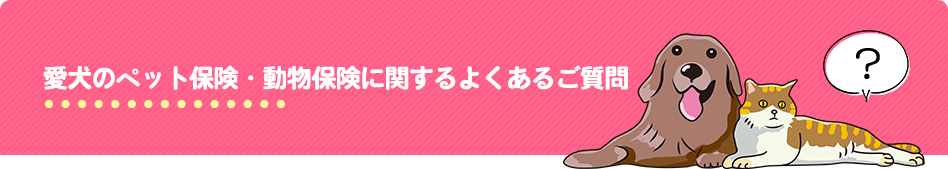 愛犬のペット保険・動物保険に関するよくあるご質問