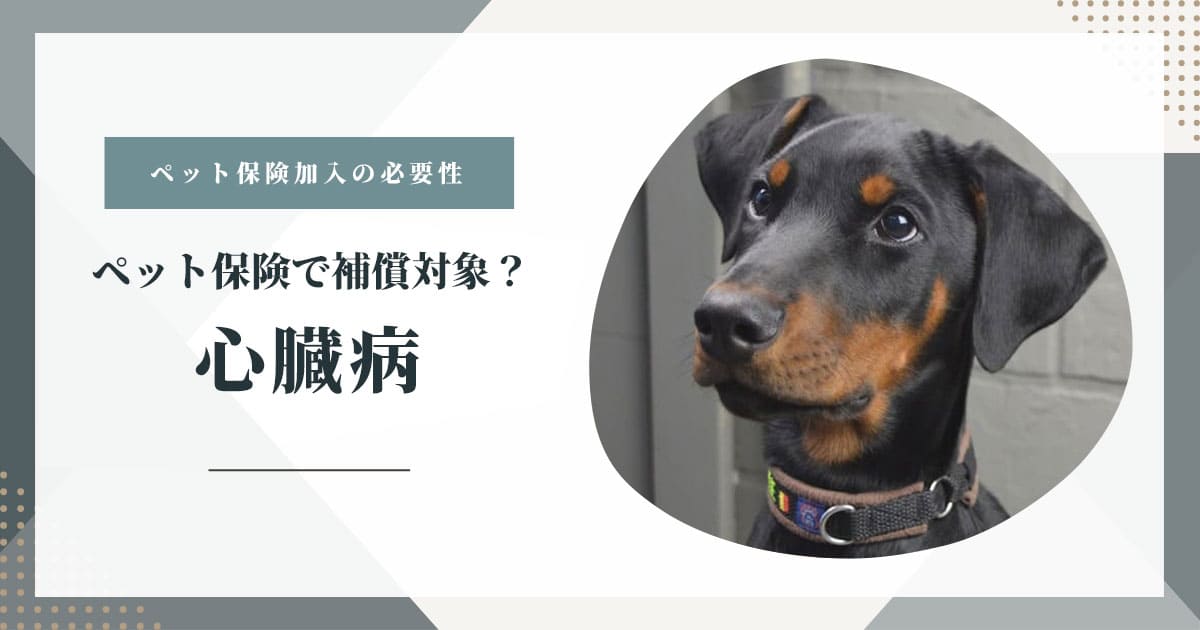 心臓病はペット保険で補償対象？