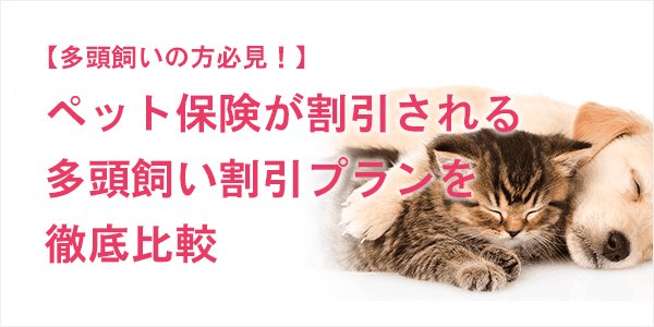 【多頭飼いの方必見！】ペット保険が割引される多頭飼い割引プランを徹底比較