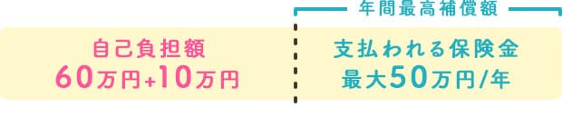 自己負担額50万+10万
