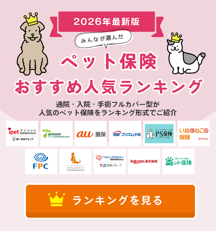 ペット保険おすすめ人気ランキング