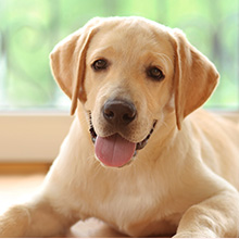 面倒な手続きが不要 窓口精算ができる