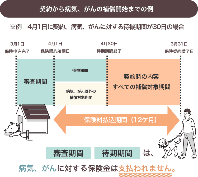 ペット保険の待機期間の説明図。例として、4月1日に契約し、病気・がんに対する待機期間が30日の場合を示しています。3月1日に申込完了、4月1日に契約開始、4月30日に待機期間終了。その後、契約内容すべての補償対象期間が始まります。
